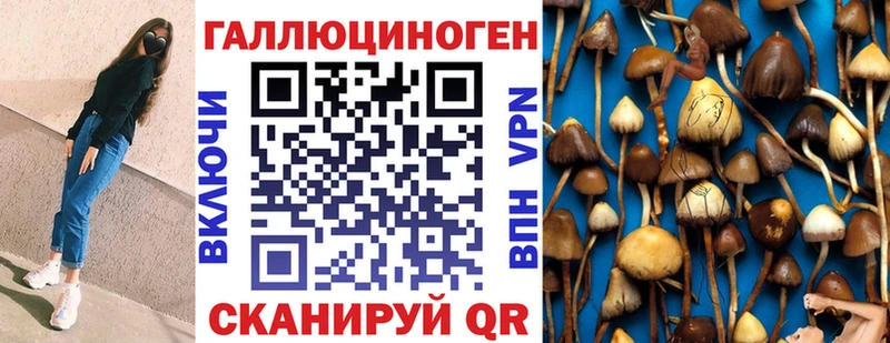 площадка официальный сайт  Камбарка  Псилоцибиновые грибы Psilocybe 