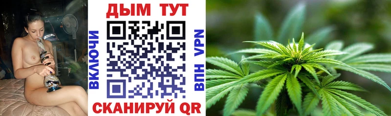 МАРИХУАНА сатива  это формула  Камбарка  где найти наркотики  omg tor 